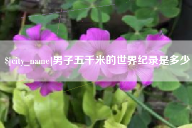 武汉男子五千米的世界纪录是多少