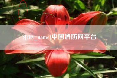 武汉中国消防网平台