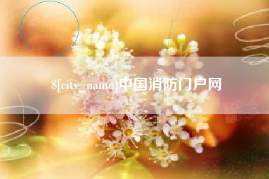 武汉中国消防门户网