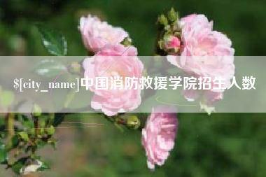 武汉中国消防救援学院招生人数
