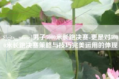 武汉男子5000米长跑决赛-更是对5000米长跑决赛策略与技巧完美运用的体现
