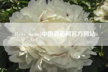 武汉中国消防网官方网站