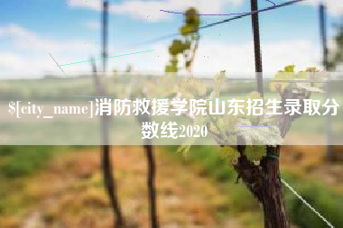 武汉消防救援学院山东招生录取分数线2020