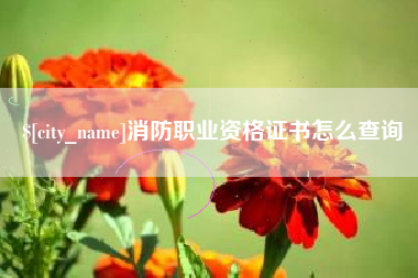 武汉消防职业资格证书怎么查询