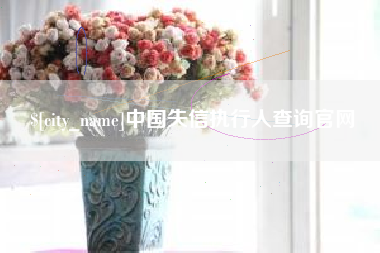 武汉中国失信执行人查询官网
