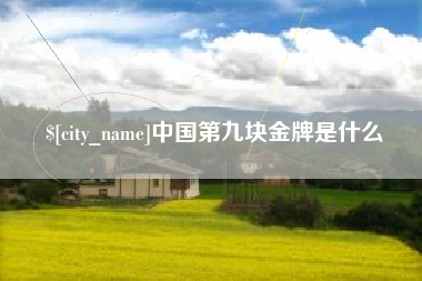 武汉中国第九块金牌是什么