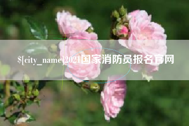 武汉2021国家消防员报名官网