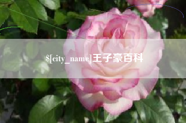 武汉王子豪百科