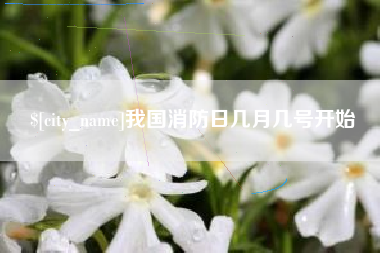 武汉我国消防日几月几号开始