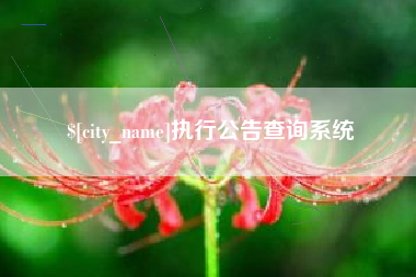 武汉执行公告查询系统