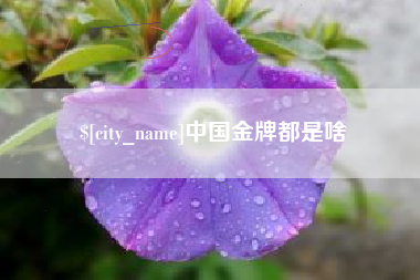武汉中国金牌都是啥