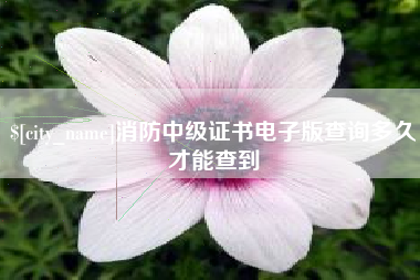武汉消防中级证书电子版查询多久才能查到