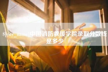武汉中国消防救援学院录取分数线是多少