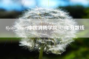 武汉中国消防学院2024年分数线