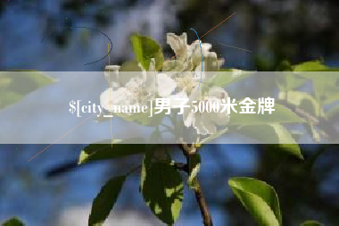 武汉男子5000米金牌