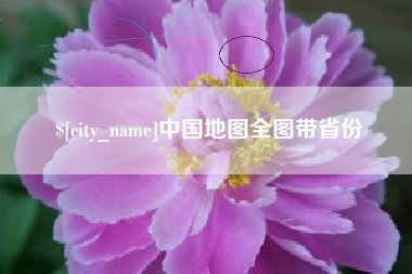 武汉中国地图全图带省份