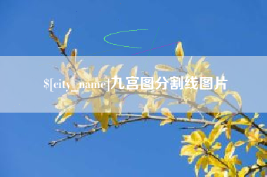 武汉九宫图分割线图片