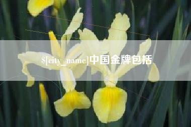 武汉中国金牌包括