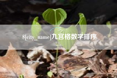 武汉九宫格数字排序