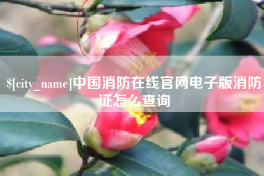 武汉中国消防在线官网电子版消防证怎么查询