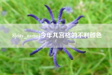 武汉今年九宫格的不利颜色