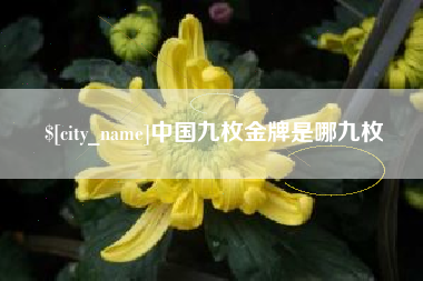 武汉中国九枚金牌是哪九枚