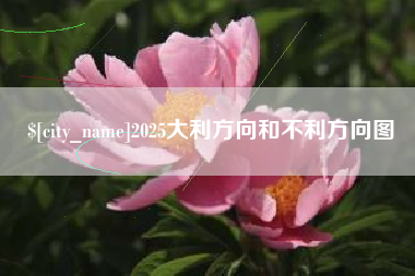 武汉2025大利方向和不利方向图
