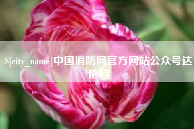 武汉中国消防网官方网站公众号达伦特