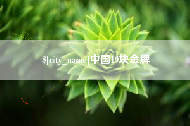 武汉中国19块金牌