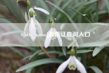 武汉消防证查询入口