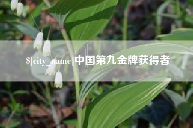 武汉中国第九金牌获得者