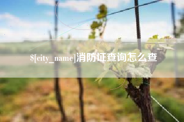 武汉消防证查询怎么查