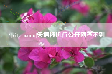 武汉失信被执行公开网查不到