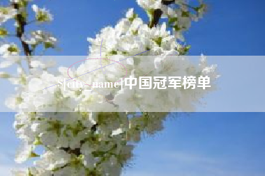 武汉中国冠军榜单