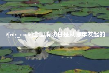 武汉全国消防日是从哪年发起的
