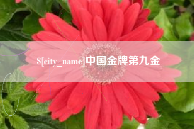 武汉中国金牌第九金