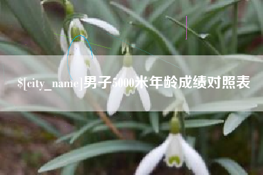 武汉男子5000米年龄成绩对照表