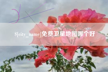 武汉免费卫星地图哪个好