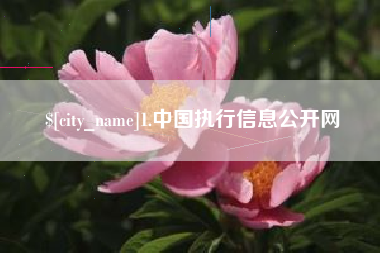 武汉1.中国执行信息公开网