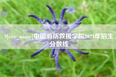 武汉中国消防救援学院2024年招生分数线
