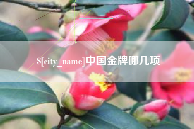 武汉中国金牌哪几项