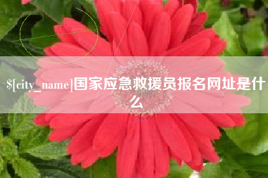 武汉国家应急救援员报名网址是什么