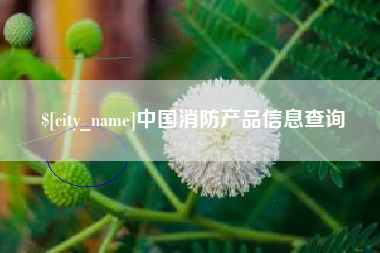 武汉中国消防产品信息查询
