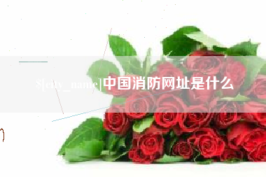 武汉中国消防网址是什么