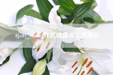 武汉九宫格盘点工具图片