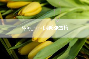 武汉消防张雪梅