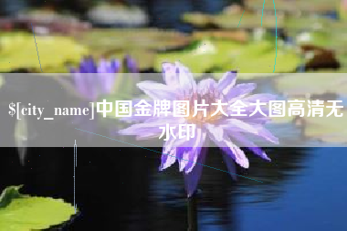 武汉中国金牌图片大全大图高清无水印