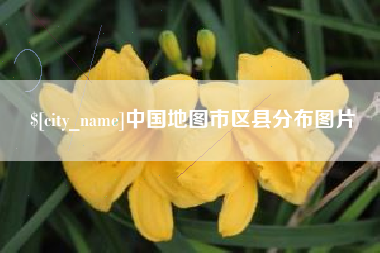 武汉中国地图市区县分布图片