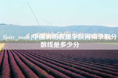 武汉中国消防救援学院河南录取分数线是多少分