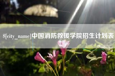 武汉中国消防救援学院招生计划表